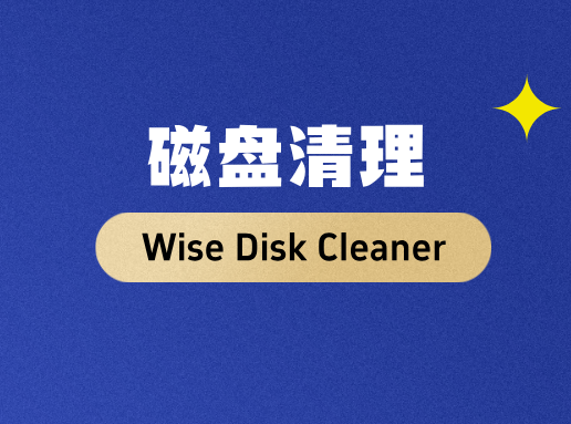 Wise Disk Cleaner磁盘清理工具下载-搜罗万相